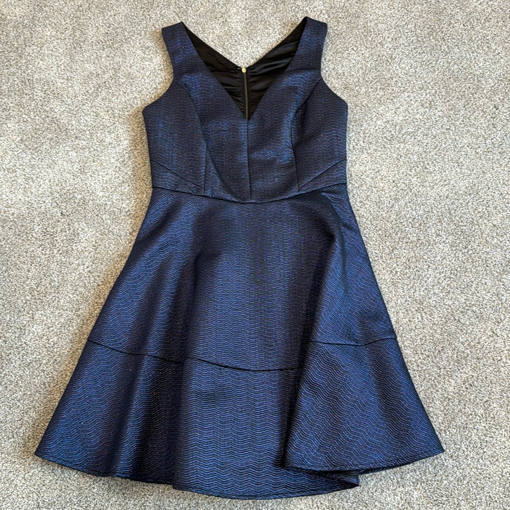 Express Fit and Flare Dress